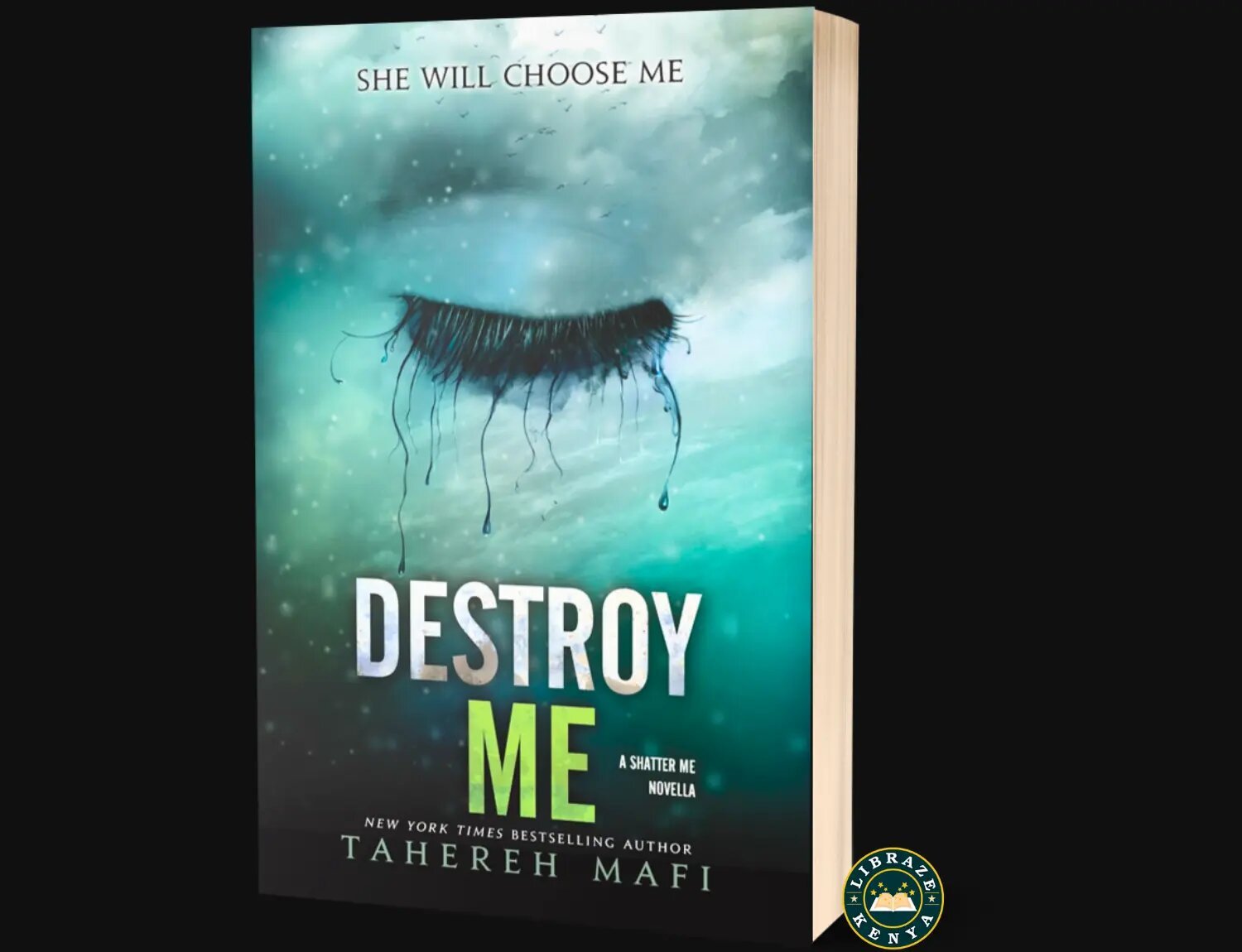 Destroy Me{Shatter Me Book 2} Novel Paperback
